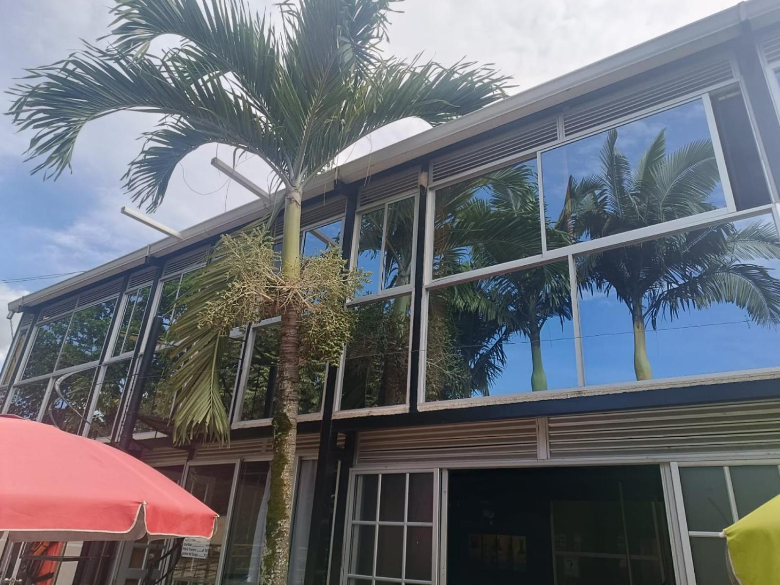Akuarela Apartamentos Campestres Ibagué Екстериор снимка
